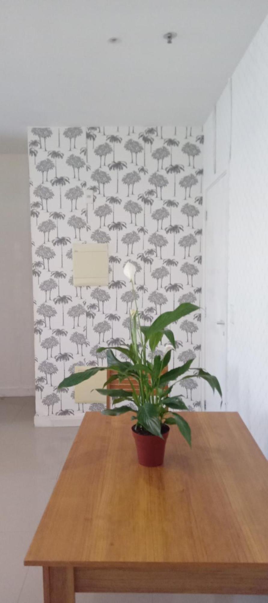 Apartamento Flat Barra Da Tijuca Diaria Ou Aluguel 3 Meses *